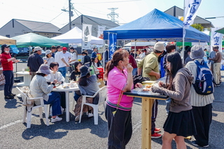 alchedeyamaki04.jpg