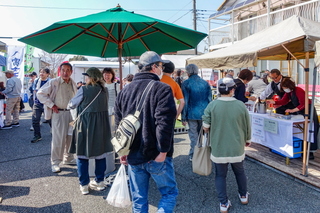 alchedeyamaki05.jpg
