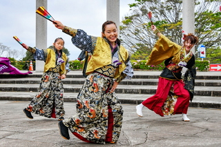 apparefuji2024ab.jpg