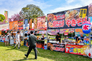 apparefuji2024d.jpg
