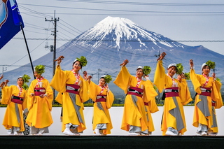 apparefuji2024n.jpg