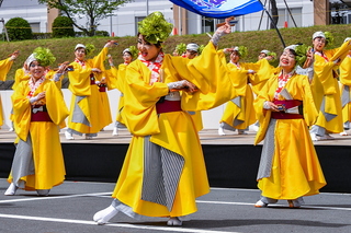apparefuji2024u.jpg
