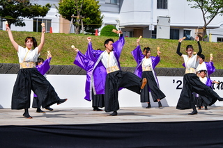 apparefuji2024v.jpg