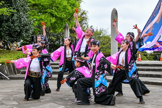 apparefuji2024z.jpg