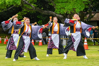 apparefuji2025ab.jpg