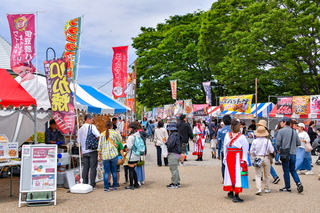 apparefuji2025d.jpg