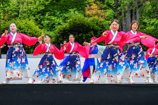 apparefuji2025o.jpg
