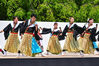 apparefuji2025r.jpg