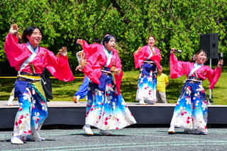 apparefuji2025x.jpg