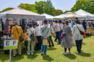 artcraft_fujiyamadays2025b.jpg