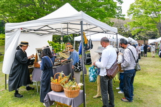 artcraft_fujiyamadays2025g.jpg