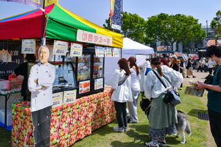 artcraft_fujiyamadays2025u.jpg