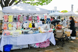 artcraft_fujiyamadays2025w.jpg