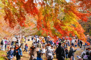 artpicnic2018b.jpg