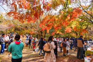 artpicnic2018c.jpg