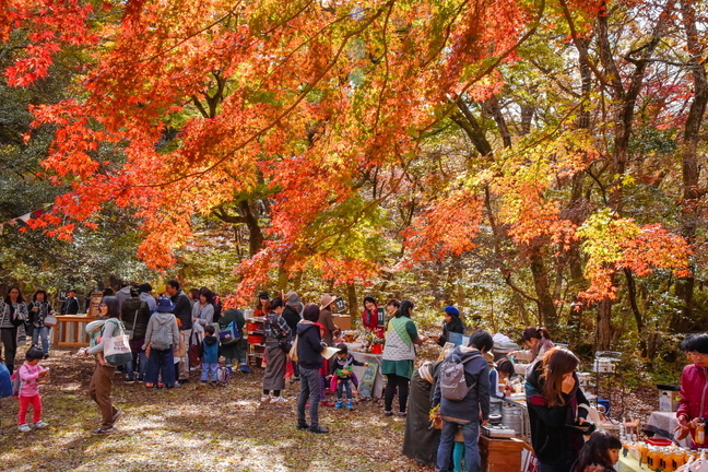 artpicnic2018d.jpg