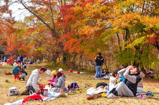 artpicnic2018e.jpg