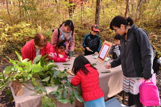 artpicnic2018j.jpg