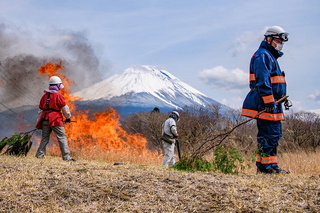asagiri_noyaki2025e.jpg
