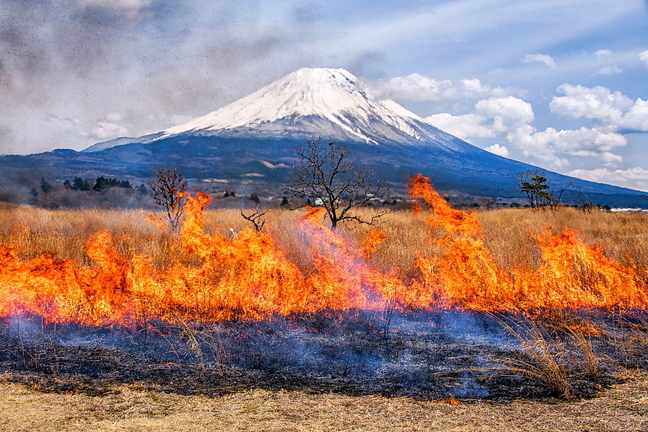 asagiri_noyaki2025h.jpg