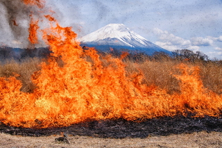 asagiri_noyaki2025i.jpg
