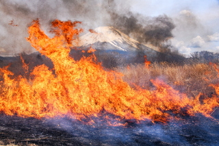 asagiri_noyaki2025j.jpg