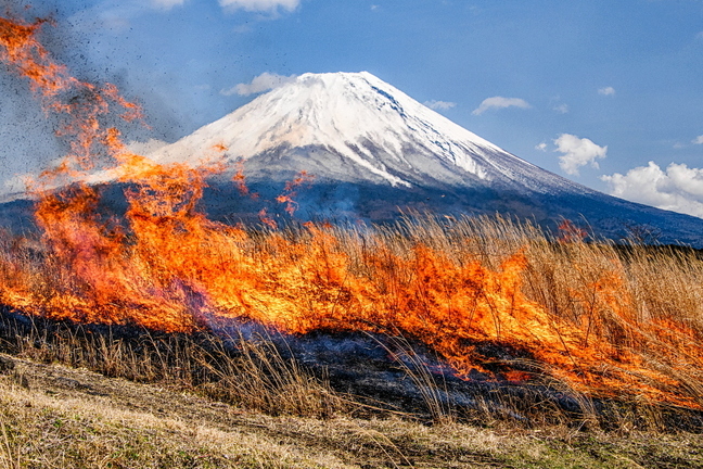 asagiri_noyaki2025k.jpg