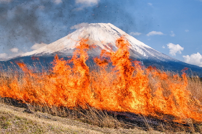 asagiri_noyaki2025l.jpg