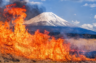 asagiri_noyaki2025m.jpg