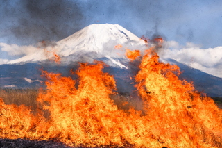 asagiri_noyaki2025n.jpg