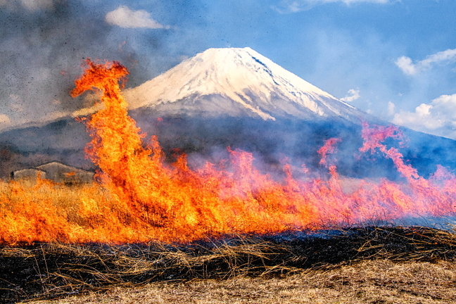 asagiri_noyaki2025o.jpg