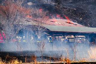 asagiri_noyaki2025q.jpg