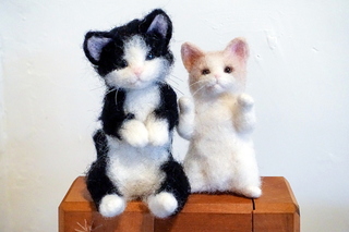 catnip_nekonekofes10.jpg