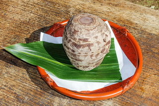 daichuuji_umemi08.jpg
