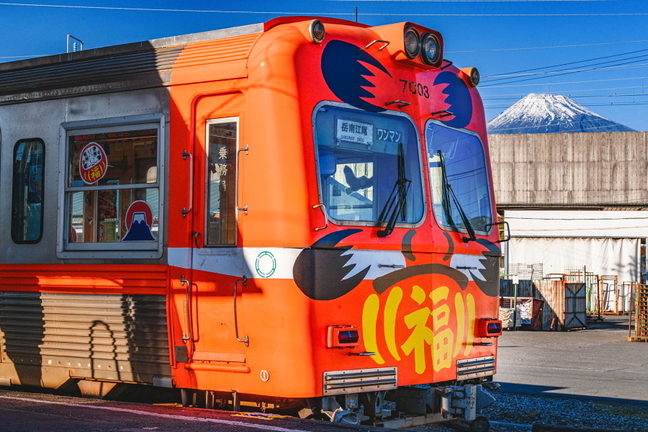 darumatrain2025a.jpg