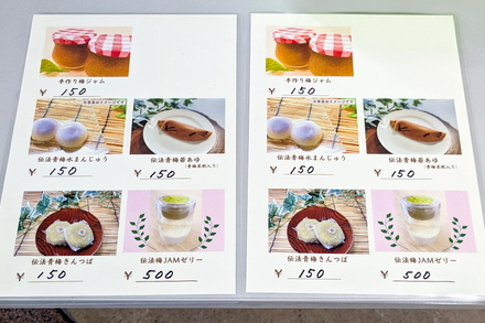 denbo_umesweetsfair04.jpg
