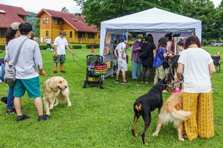 dogmarchefujisan07.jpg