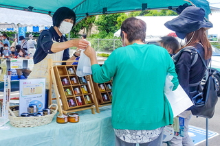 eneria_shokuikufesta04.jpg