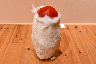 ewmtfujiten07.jpg