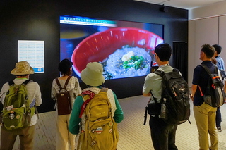 expo2025_shizuoka10.jpg