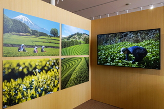 expo2025_shizuoka13.jpg