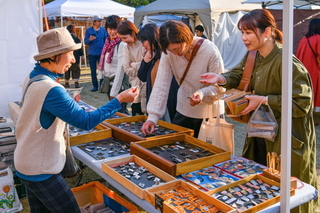 facf2019_01l.jpg