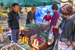 facf2019_02n.jpg