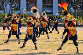 facf2019_02v.jpg