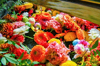 fgt2024_hana14.jpg