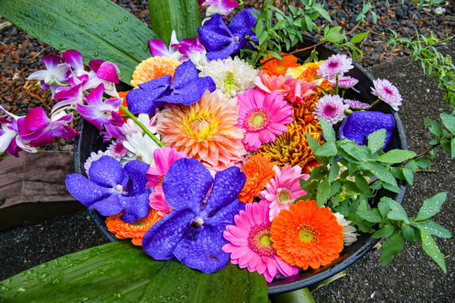 fgt2024_hana20.jpg