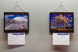 fuji100keiten2025f.jpg