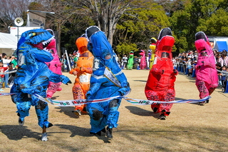 fujicycleroadrace2025aa.jpg