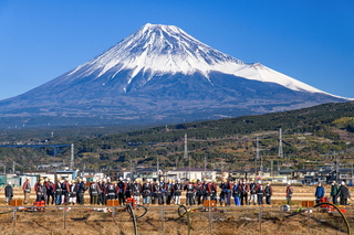 fujidezome2023a.jpg