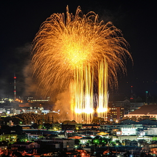 fujimatsuri2024y.jpg